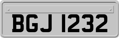BGJ1232