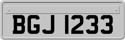BGJ1233