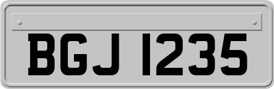 BGJ1235