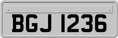 BGJ1236