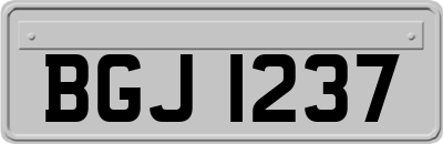 BGJ1237