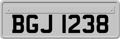 BGJ1238