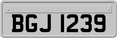 BGJ1239