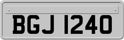 BGJ1240
