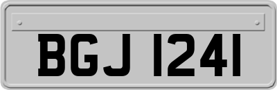 BGJ1241