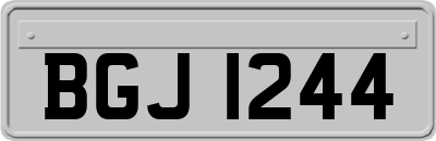 BGJ1244