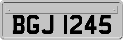 BGJ1245