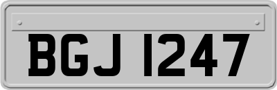 BGJ1247