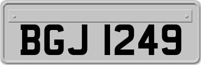BGJ1249