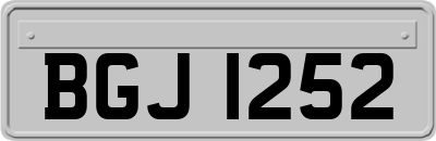 BGJ1252