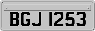 BGJ1253