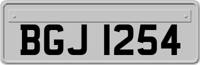 BGJ1254