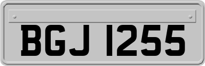 BGJ1255