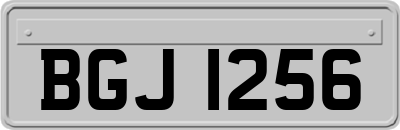 BGJ1256