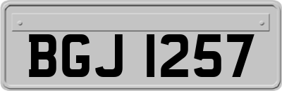 BGJ1257
