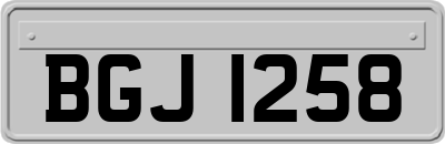 BGJ1258