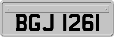 BGJ1261
