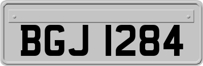 BGJ1284