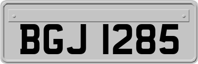BGJ1285