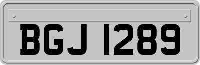 BGJ1289