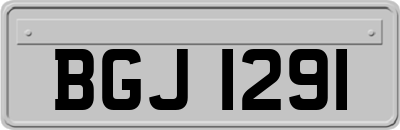 BGJ1291
