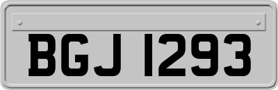 BGJ1293