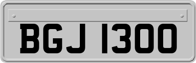 BGJ1300