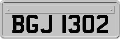 BGJ1302