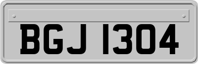 BGJ1304