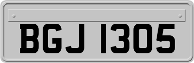 BGJ1305