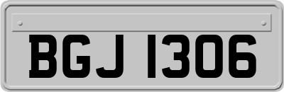 BGJ1306