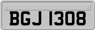 BGJ1308