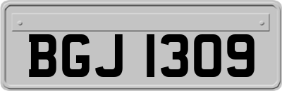 BGJ1309