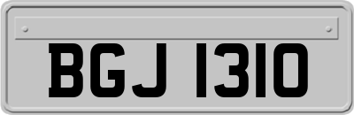 BGJ1310