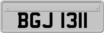 BGJ1311