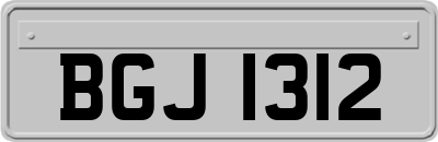 BGJ1312