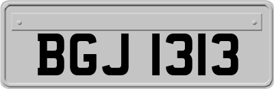 BGJ1313