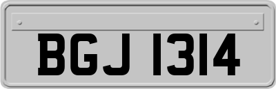 BGJ1314