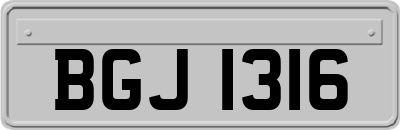 BGJ1316