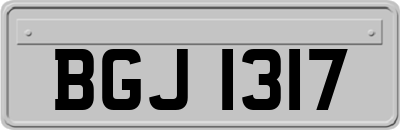 BGJ1317