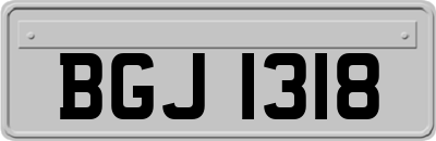BGJ1318
