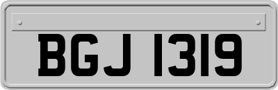 BGJ1319