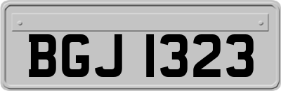 BGJ1323