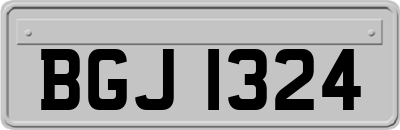 BGJ1324