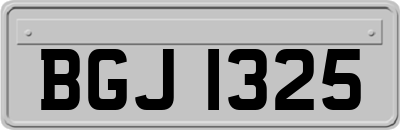 BGJ1325