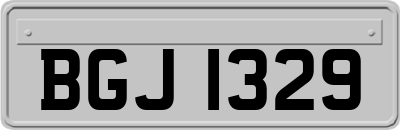 BGJ1329