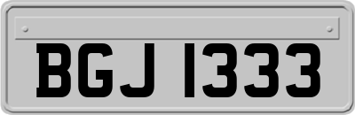 BGJ1333