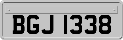 BGJ1338