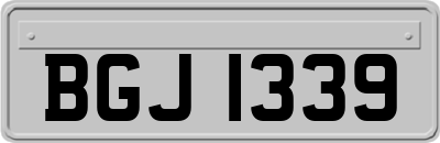 BGJ1339
