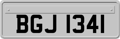 BGJ1341